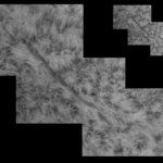 2021-06-21_13:57:15UT