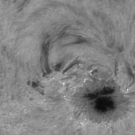 2021-06-29_14:47:54UT