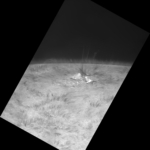 2021-07-03_07:21:09UT