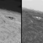 2021-07-06_07:33:20UT