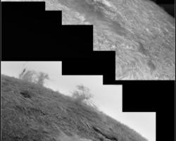 2023-07-0639UT