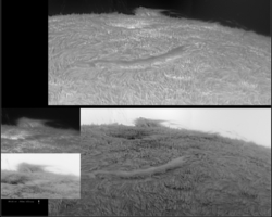 2023-08-11_10:56UT