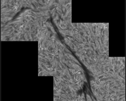 Filament 19.08. 2023