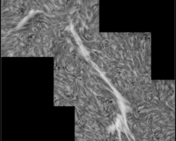 Filament 19.08.2023