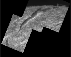 Filament am19. 08.2023
