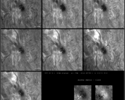 Entwicklung Umbral Flare