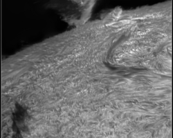 30.08.2023 Protuberanz Ostrand Tripleetalon