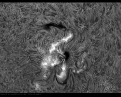 2023 08 30 - 09:04UT   seeing 1/5 sehr schlecht