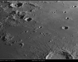 2022 03 10 Rima Sheepshanks