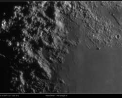 2022 03 10 Rima Conon