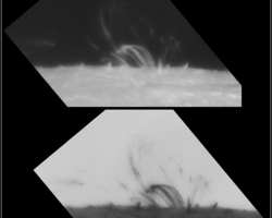 2024 05 14 AR 3664