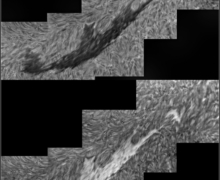 2024 06 01 | 09:42UT | Filament